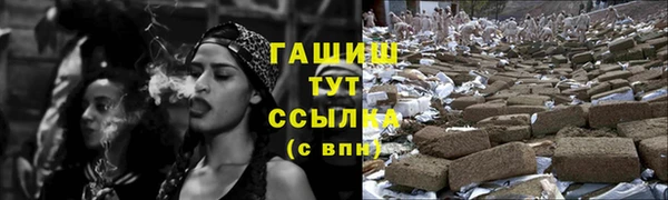 сатива Карпинск