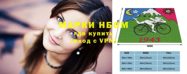 сатива Карпинск