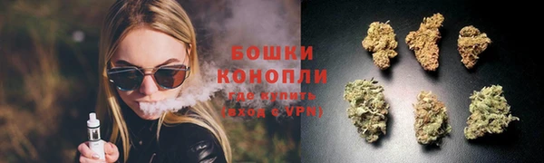 сатива Карпинск