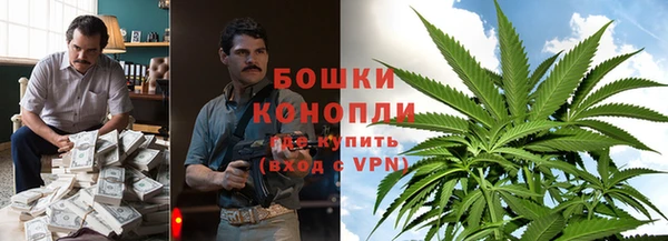 сатива Карпинск
