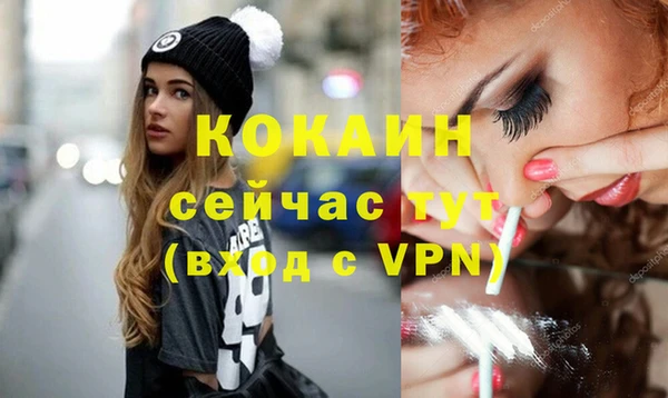 сатива Карталы