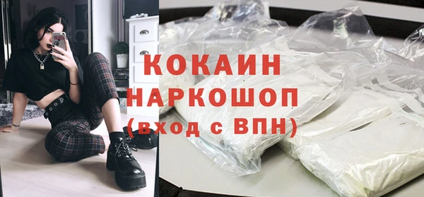 сатива Карпинск